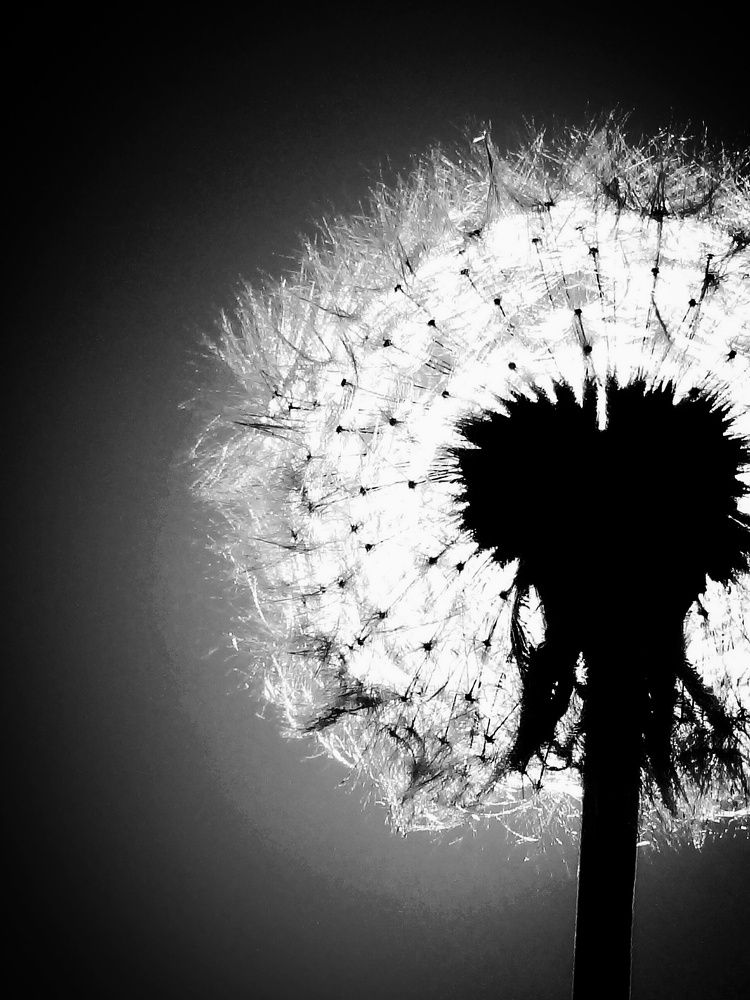 Photograph by Стефанова Татьяна