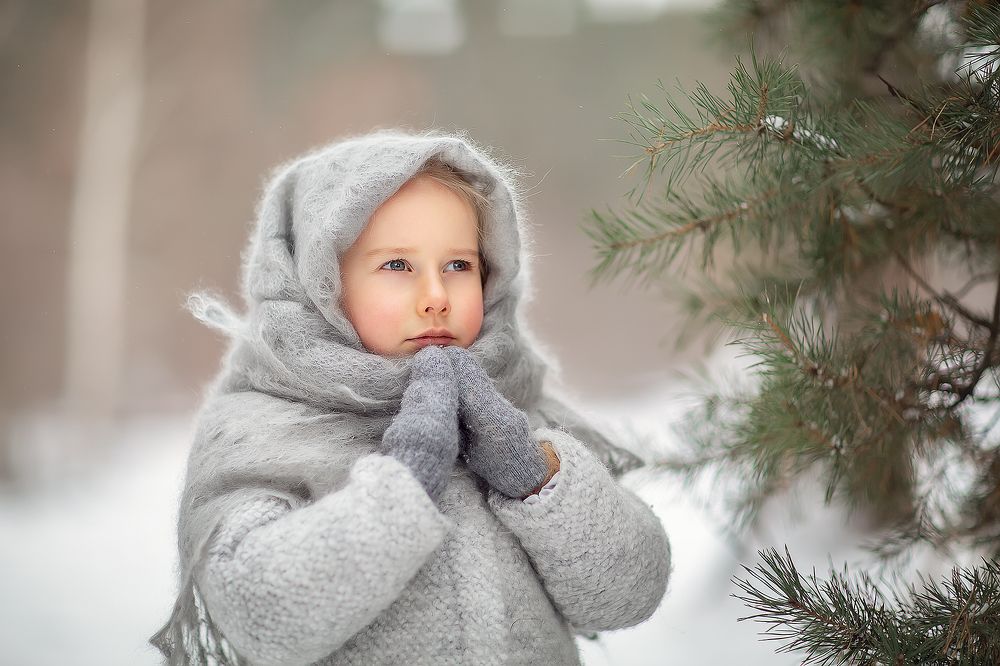 Что же заказать Деду Морозу?