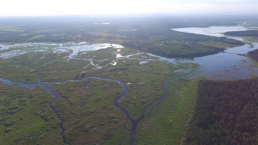 Река Пра в районе города Спас-Клепики