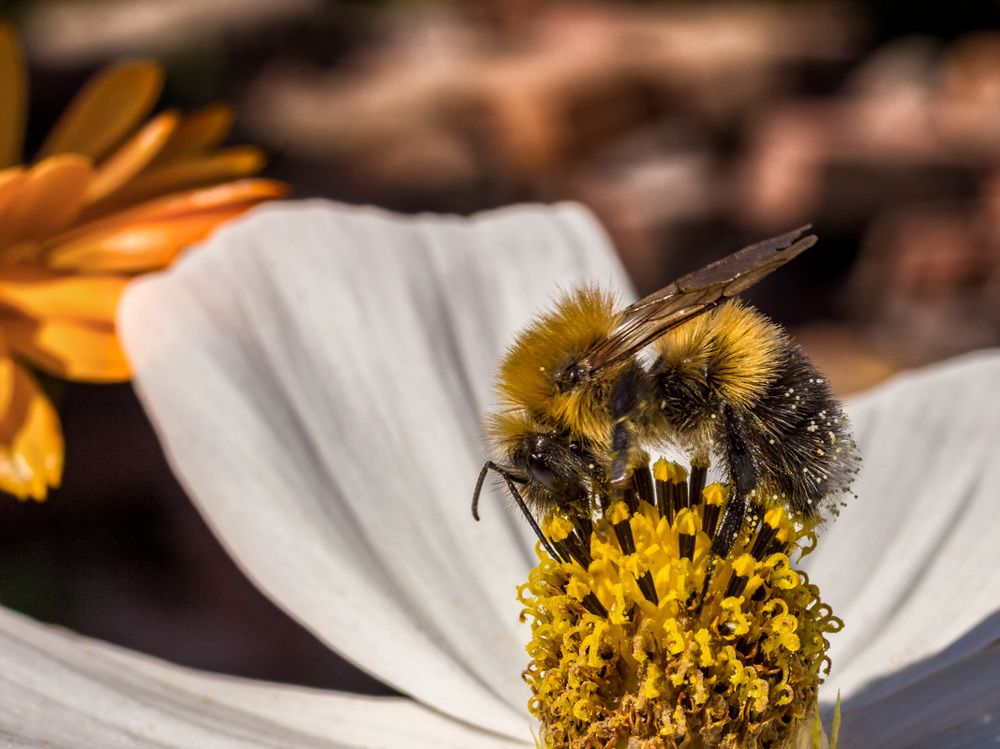 Photograph by Victor Pruhnitskiiy