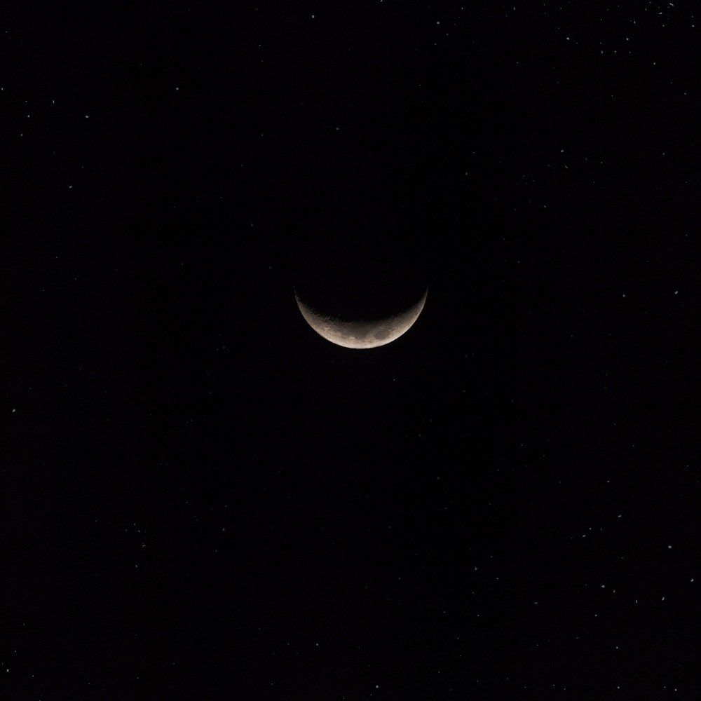New Moon
