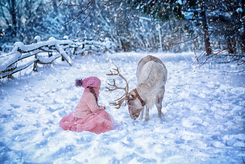 Photograph by Виктория Дубровская