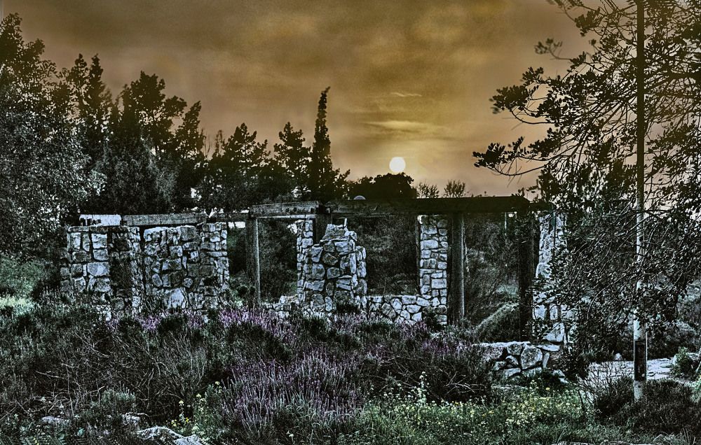 Когда приходят сумерки