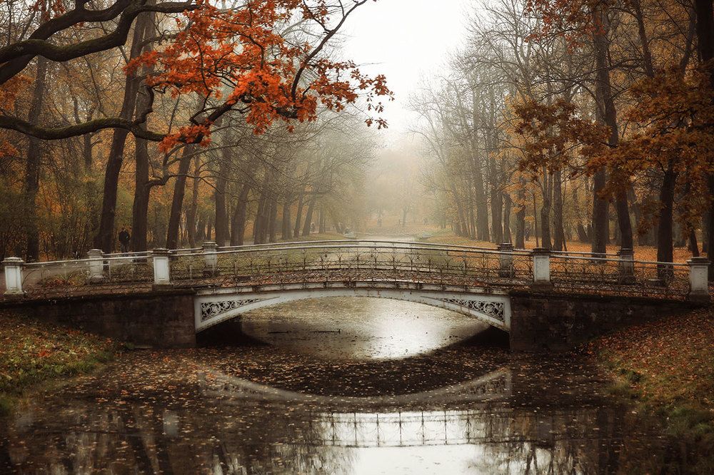 В Александровском парке