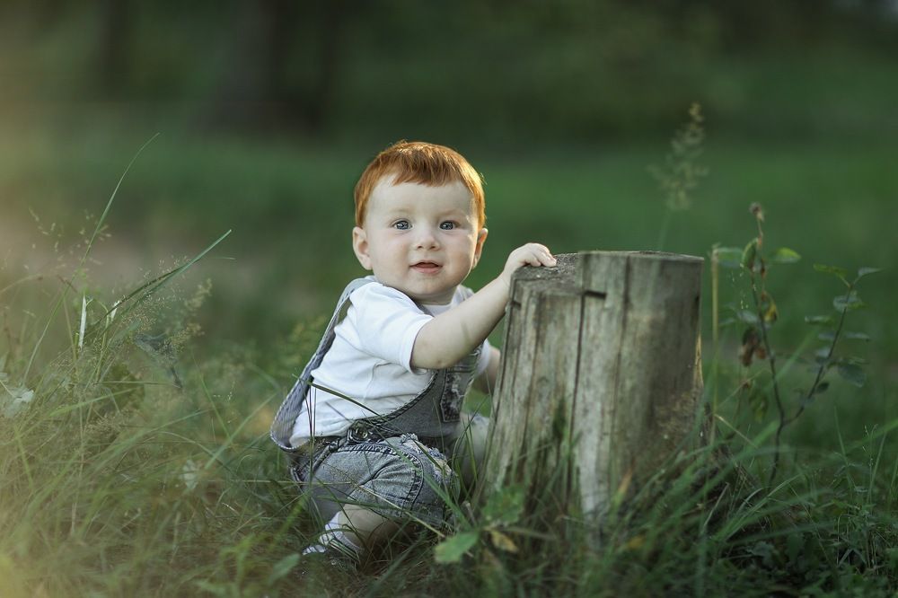 Рыженькое счастье