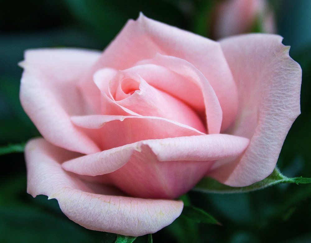 Photograph by Айдар