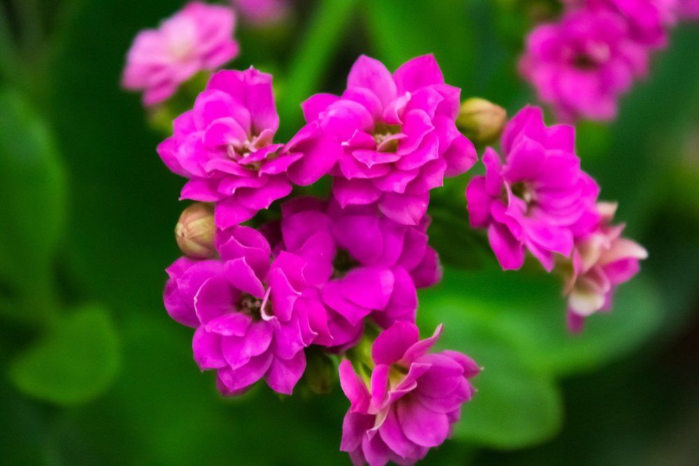 Photograph by Айдар