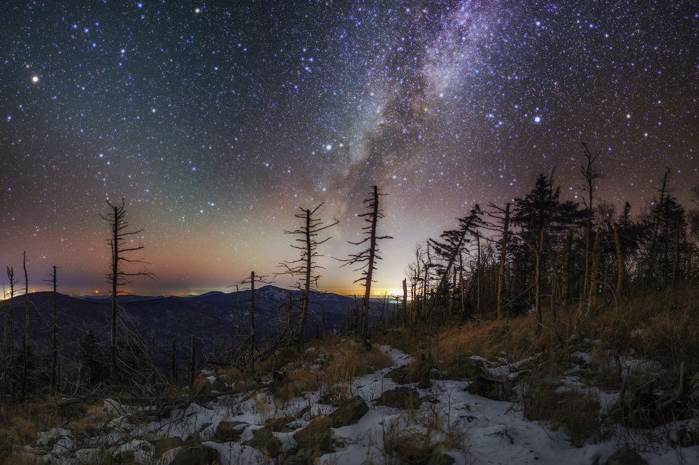 Ночь в заколдованном лесу (Night in enchanted forest)