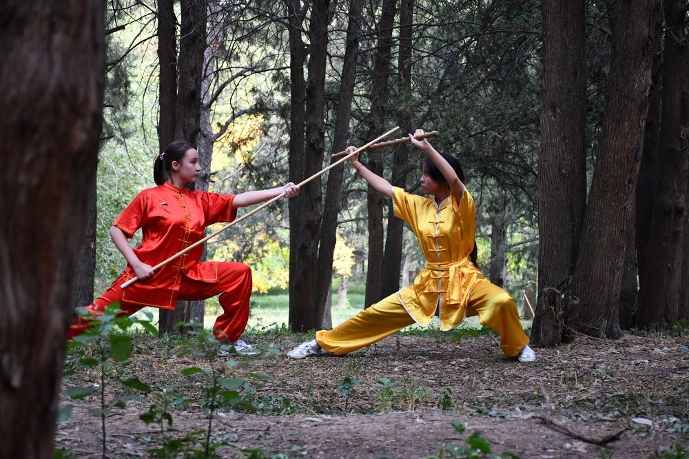 Поединок в лесу