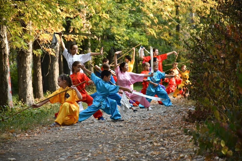 Тропа Боевых искусств