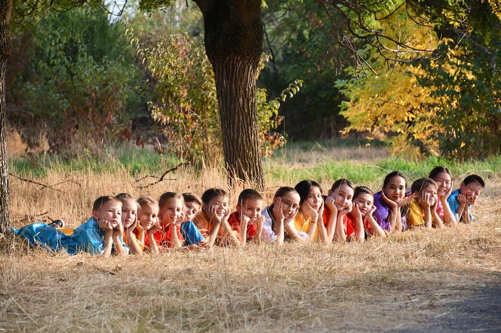 Мечты о мастерстве