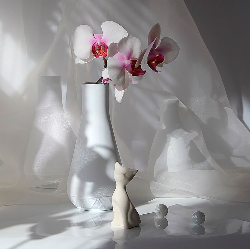 Белое на белом