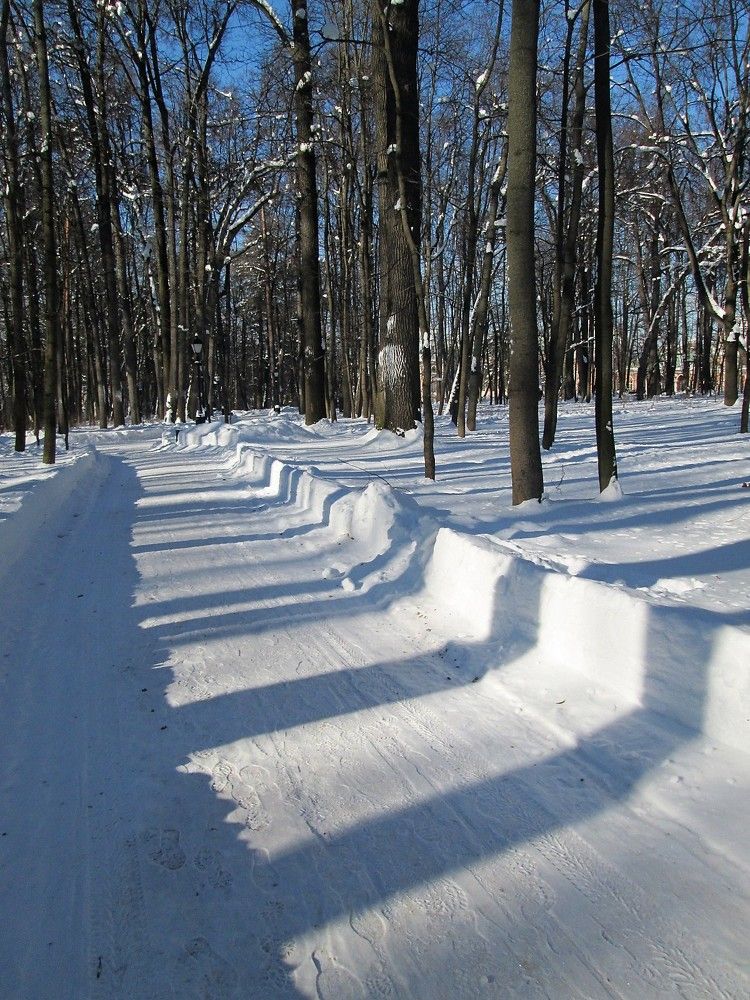 Тени от деревьев