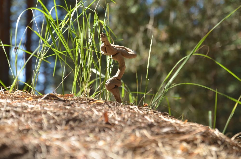 Одинокий странник.