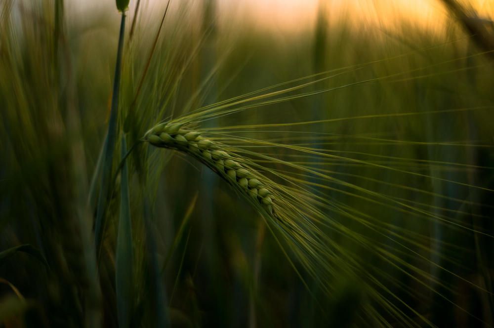 Photograph by Юрий Москалев