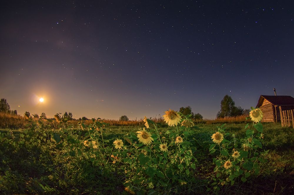 под звездами. Заход луны