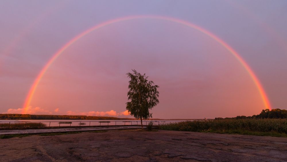 A surprisingly beautiful, interesting full rainbow over the lake after a rainy sunset. Under a rainbow arc is a lonely birch.