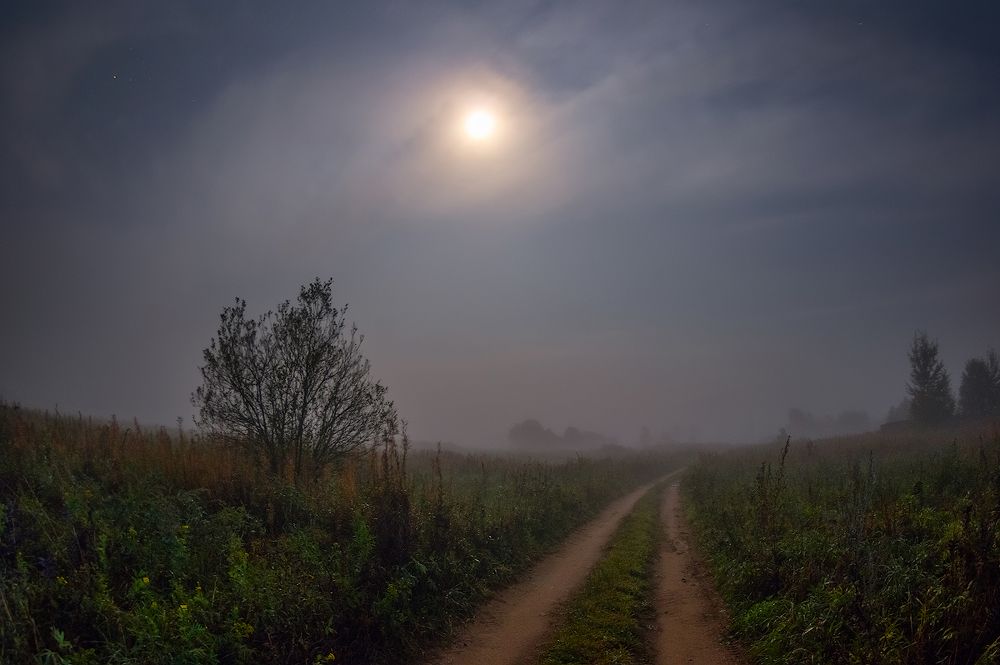 лунная дорожка