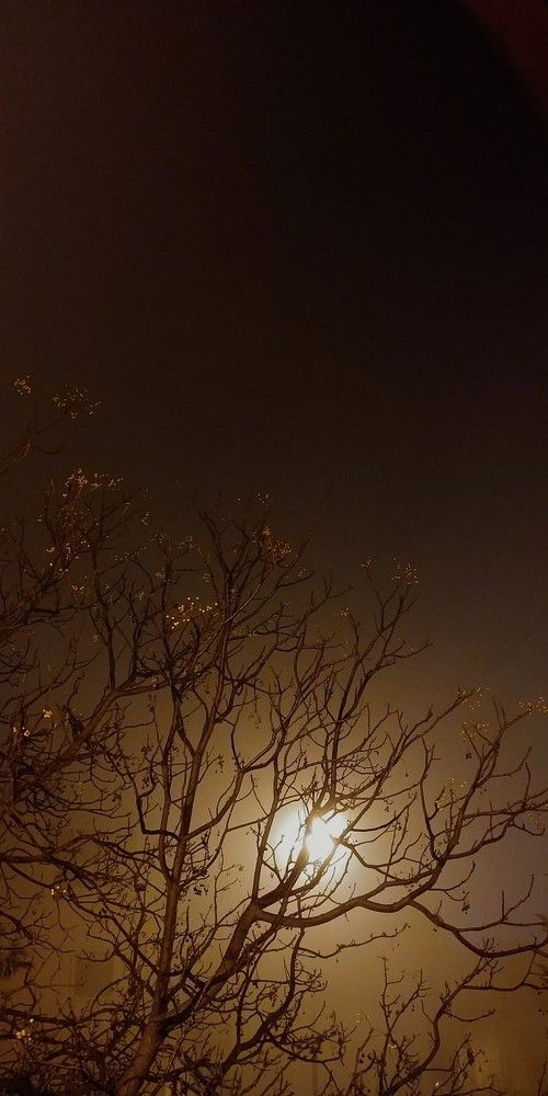 A foggy night