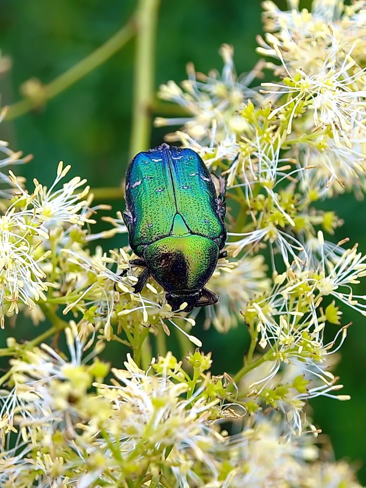 Photograph by Игорь Чеботарёв