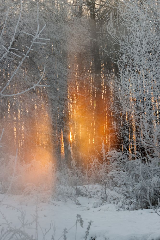 The sun melted by frost. Солнце расплавленное морозом.