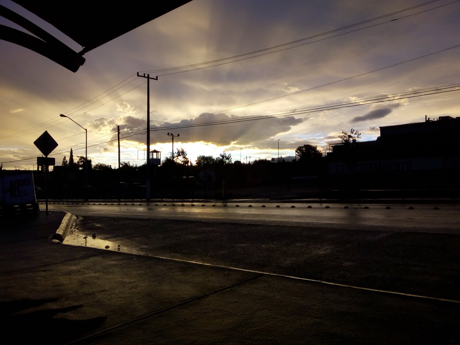 Photo #2771178