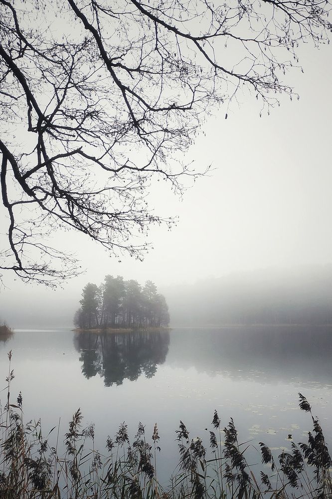 Меланхолия