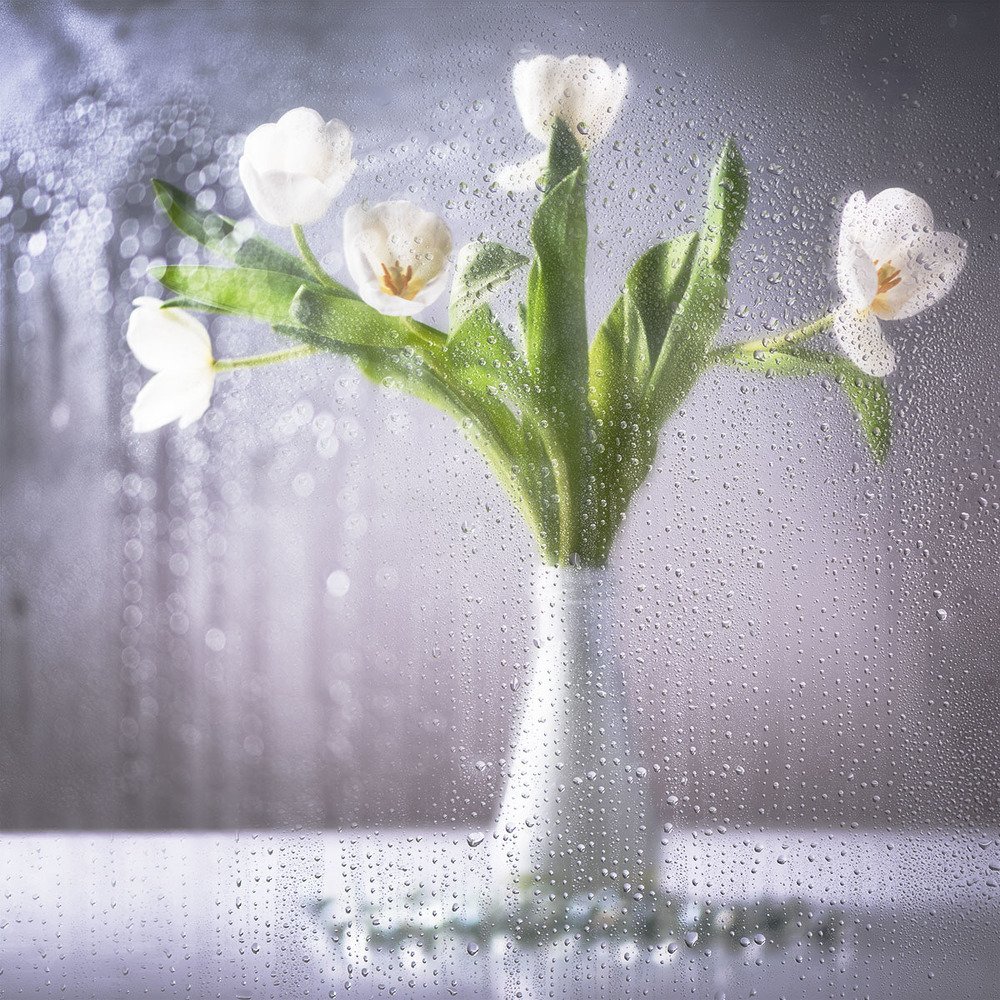 И жизнь, и слёзы. и...