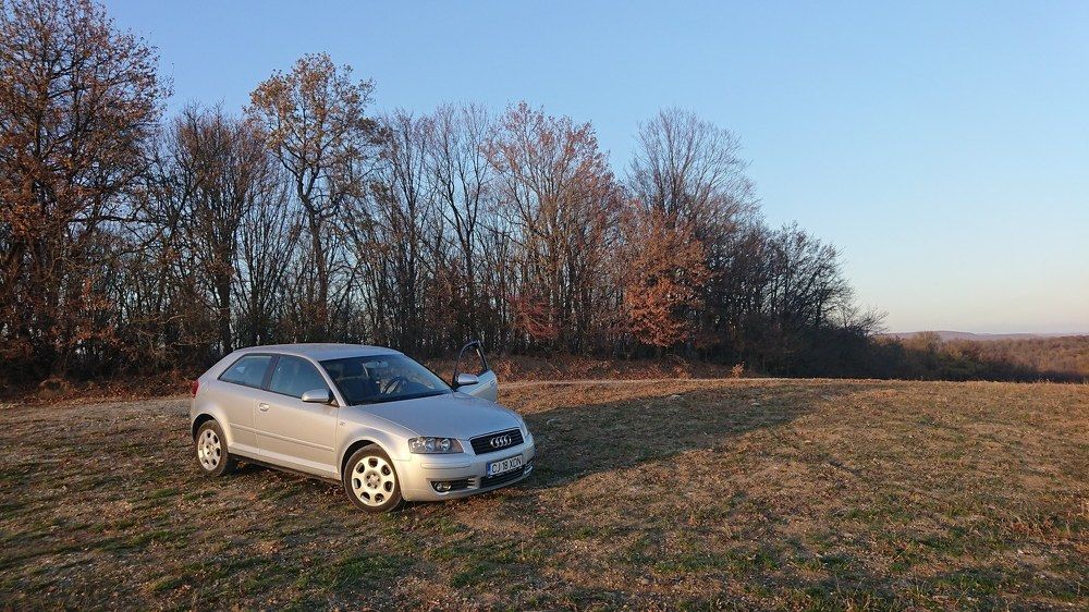 Audi in nature