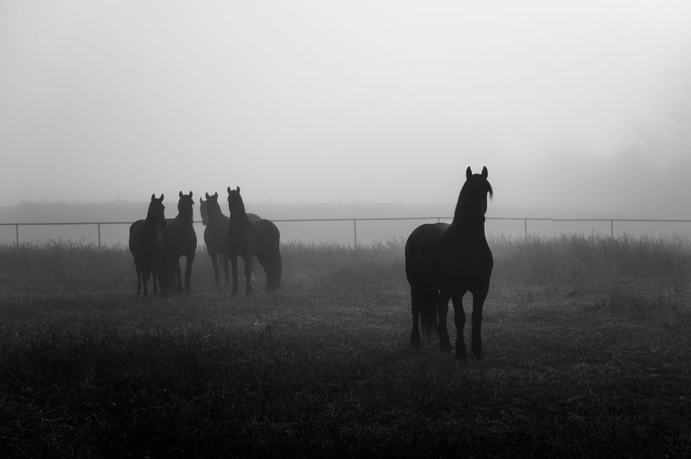 идти первым