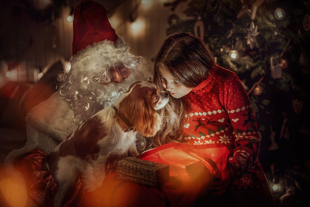 Новогоднее чудо