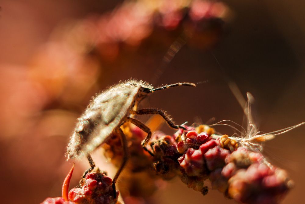 Photograph by Сергей Данилюк