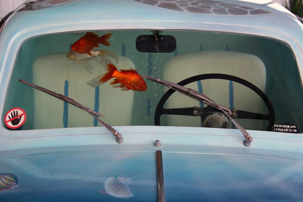 Автомобиль-аквариум