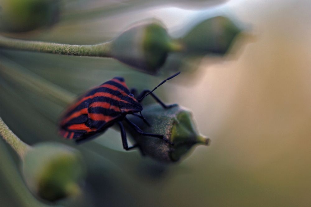 Photograph by Сергей Данилюк