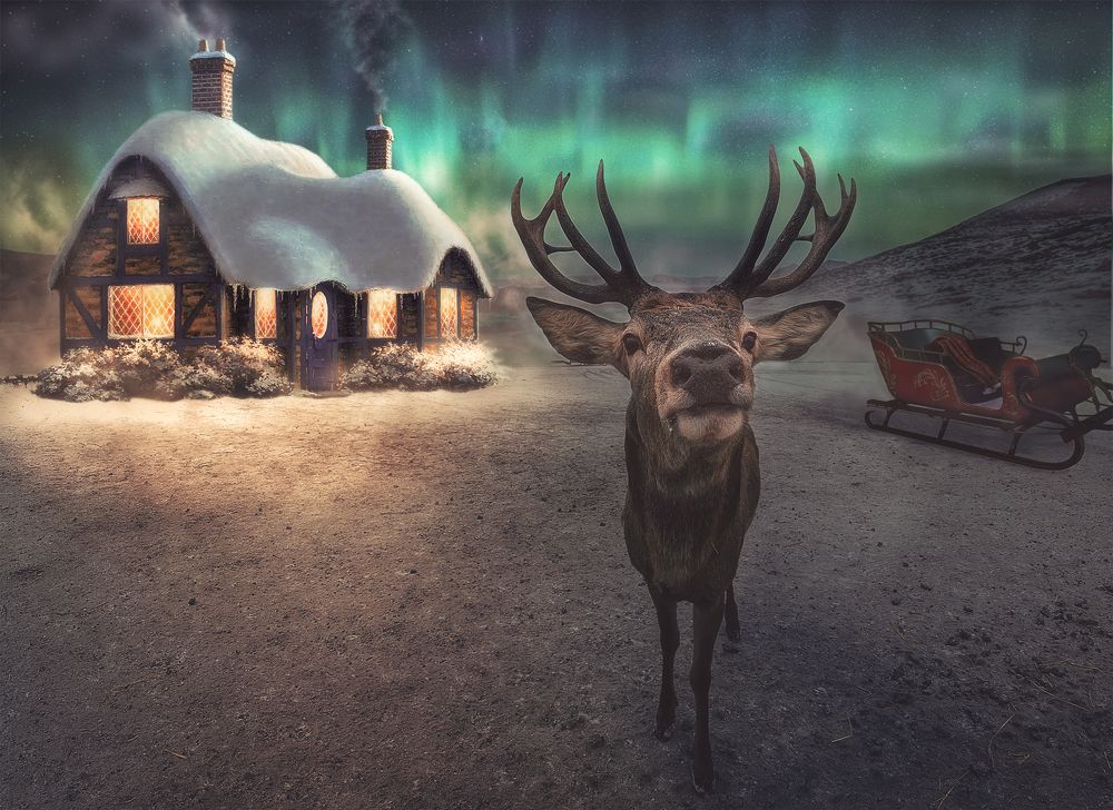 Photograph by PhotoGraf Lewiathan