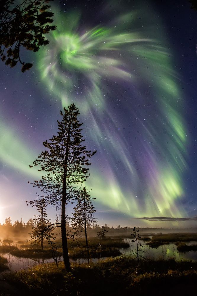 Ночью на болоте