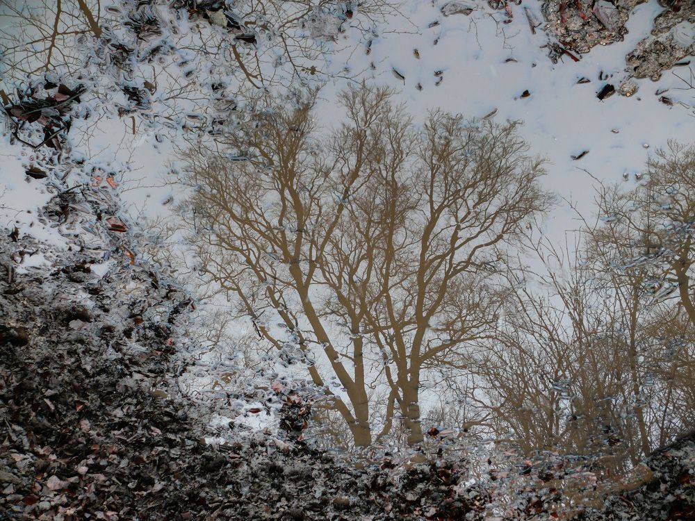 В предверии зимы.