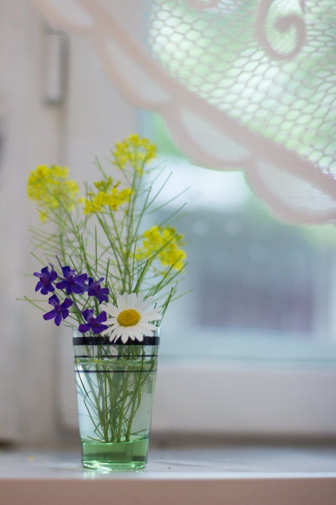 Цветы для бабушки.