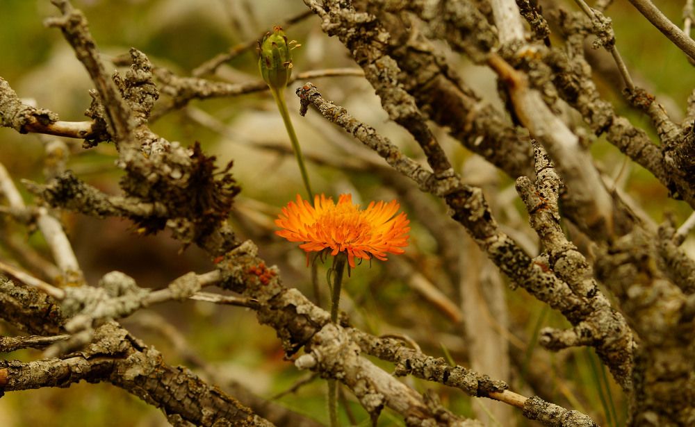 Photograph by Игорь Лукин