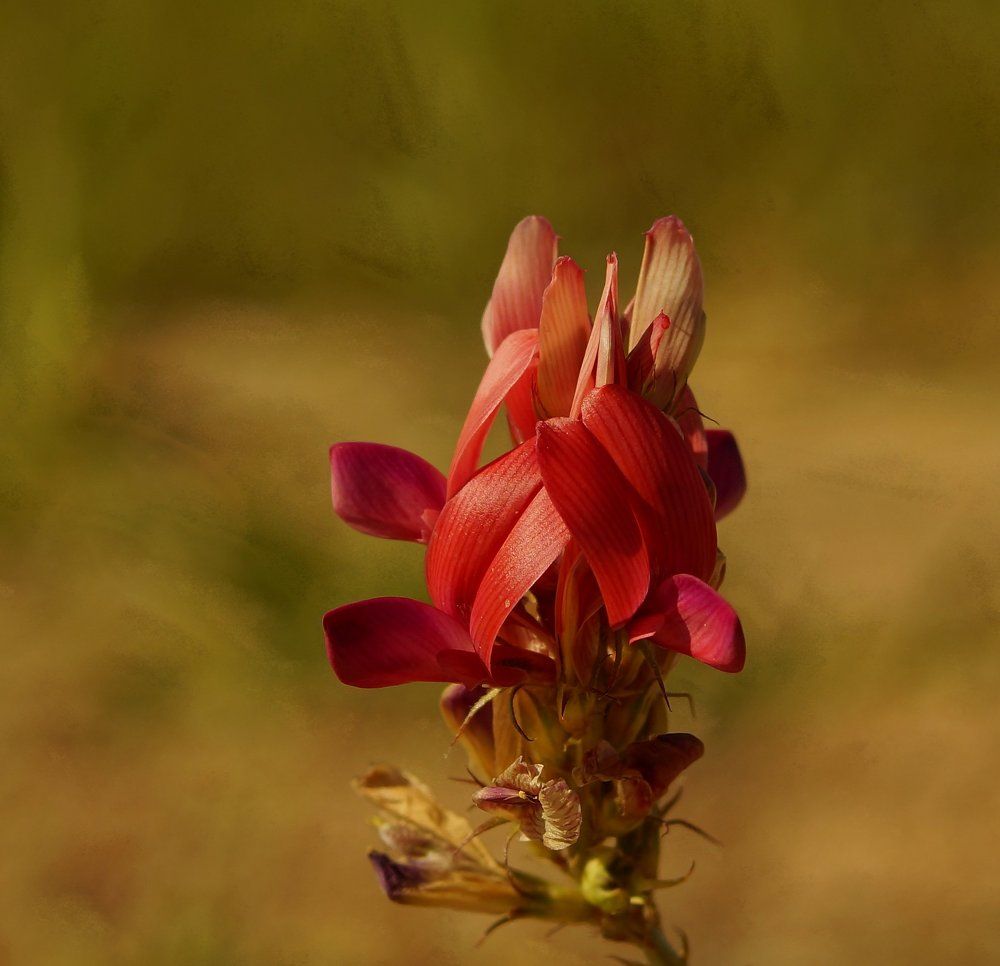 Photograph by Игорь Лукин