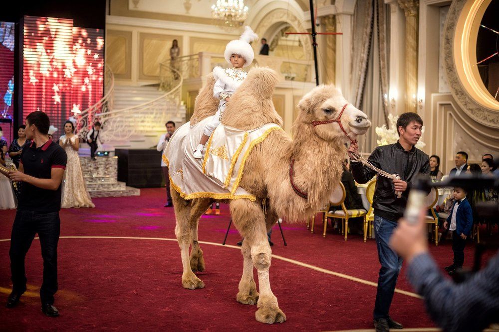 Фотография автора Андрей Ульяшев