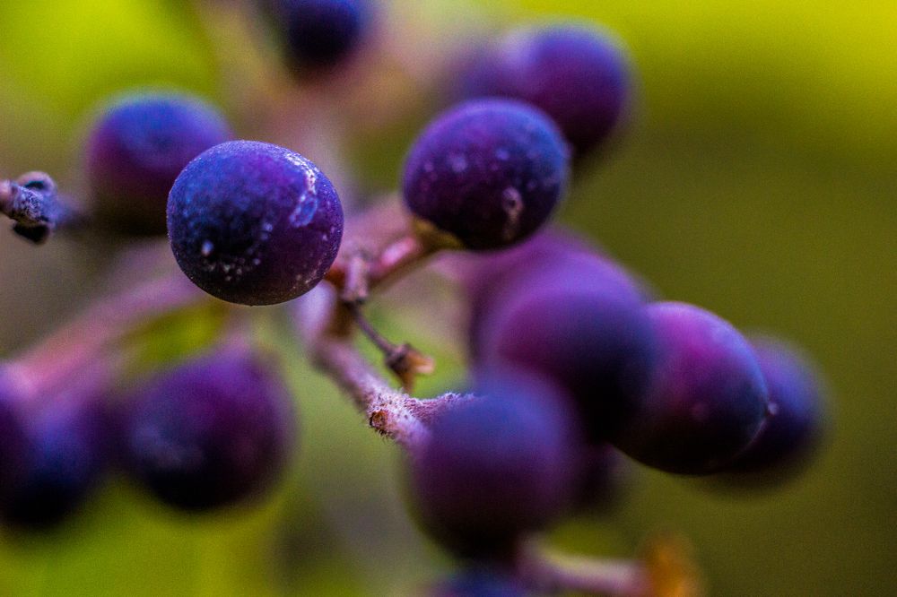 Photograph by Andrew Mikhaylov