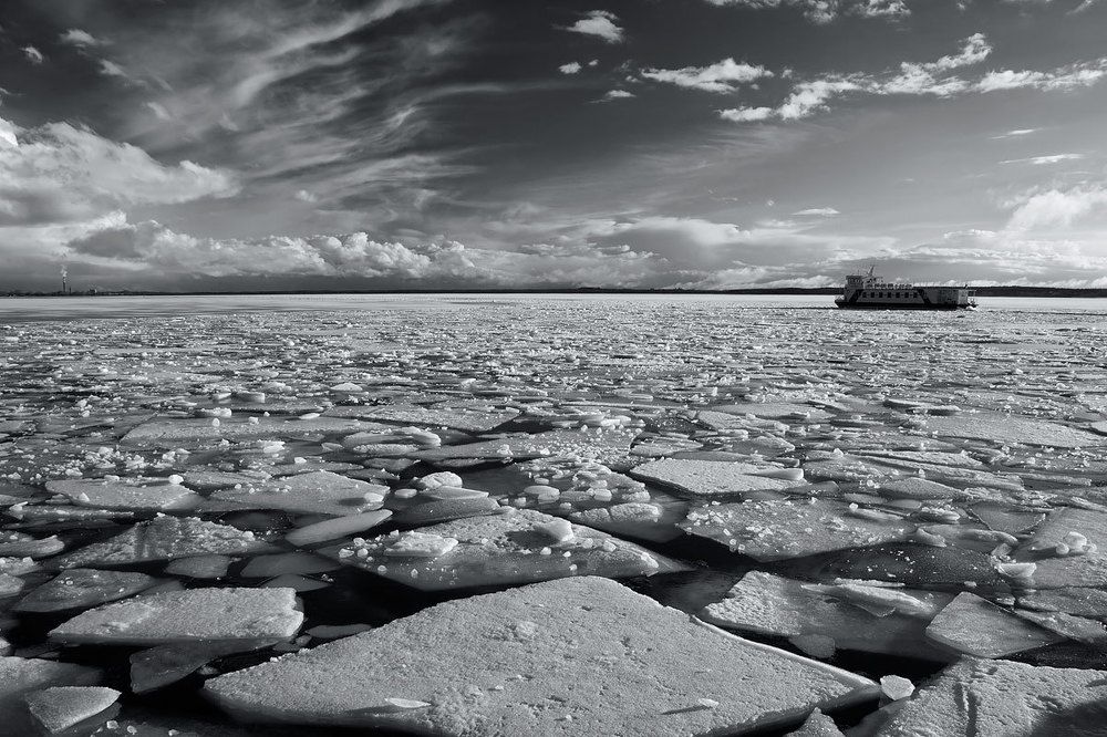 Пробивая дорогу к весне