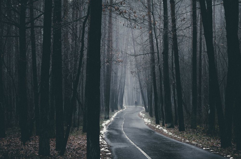 Photograph by Евгений Новицкий