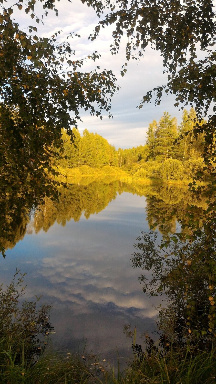 Тишина