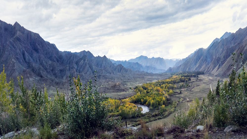 Photograph by Щербакова Галина