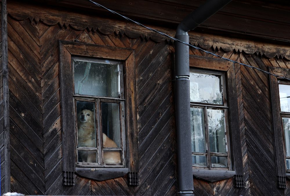 совсем не грустная