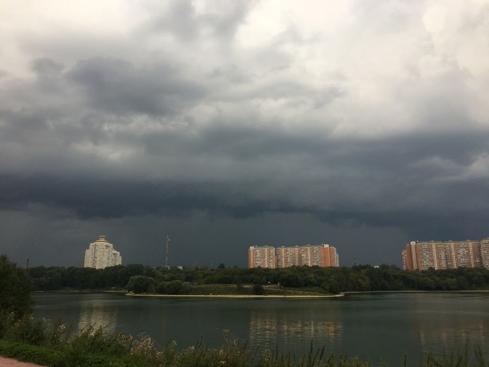 Перед грозой