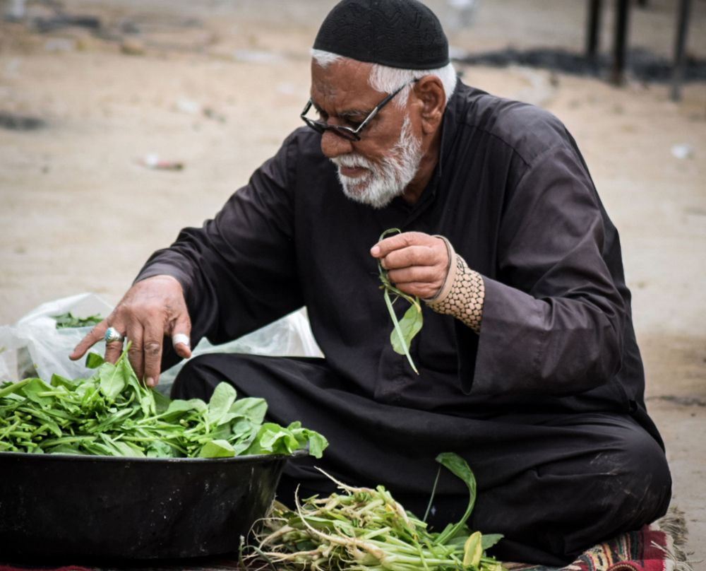 The life of processions