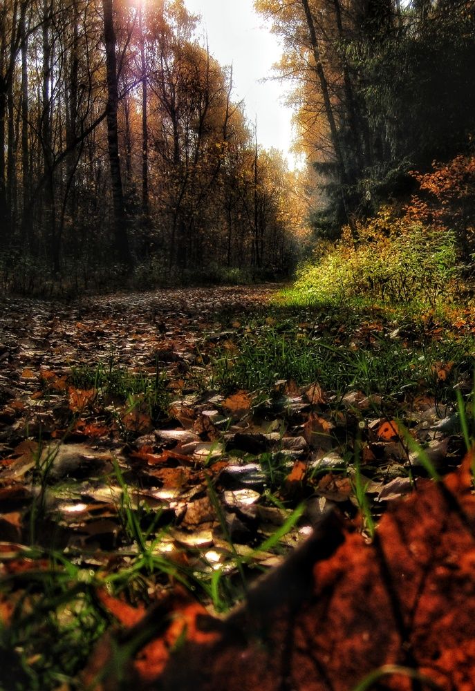 Photograph by Людмила М